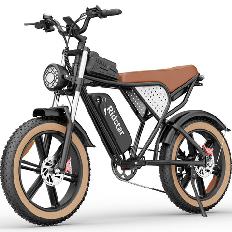 Ridstar Q20 IT Electric Bike - 750W Motor 48V20AH Battery 20-Inch Tires Hydraulic Disc Brakes - Black Brown