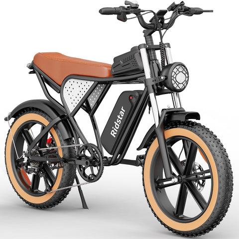 Ridstar Q20 IT Electric Bike - 750W Motor 48V20AH Battery 20-Inch Tires Hydraulic Disc Brakes - Black Brown