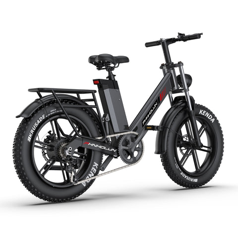 aPHNHOLUN C6 Pro Electric Bike - 1000W Motor 48V17.5AH Battery 20" Tires Disc Brakes - Black