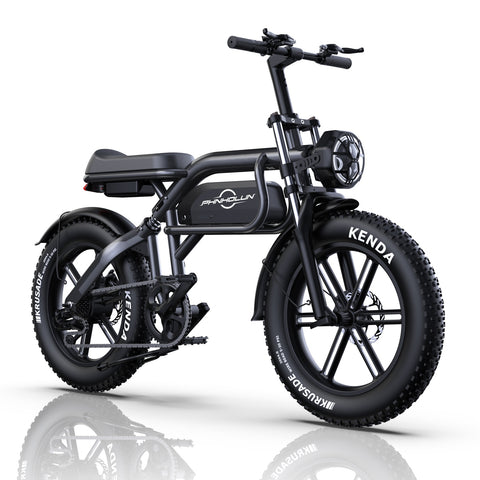 PHNHOLUN C8 IT Electric Bike - 1000W Motor 48V20AH Battery 20" Tires Disc Brakes - Black