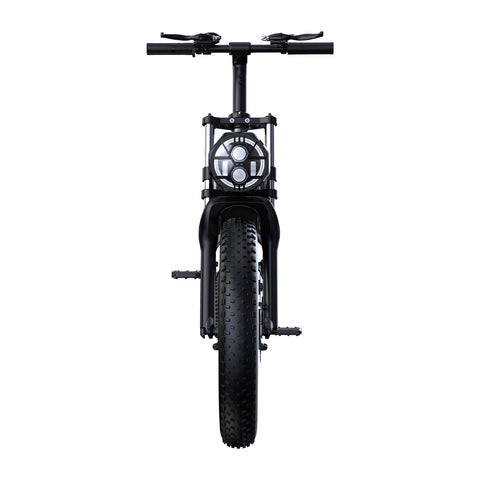 PHNHOLUN C8 IT Electric Bike - 1000W Motor 48V20AH Battery 20" Tires Disc Brakes - Black