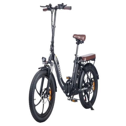 FAFREES F20 Pro Electric Bike | 250W Motor 648WH Battery 80KM Range | Black