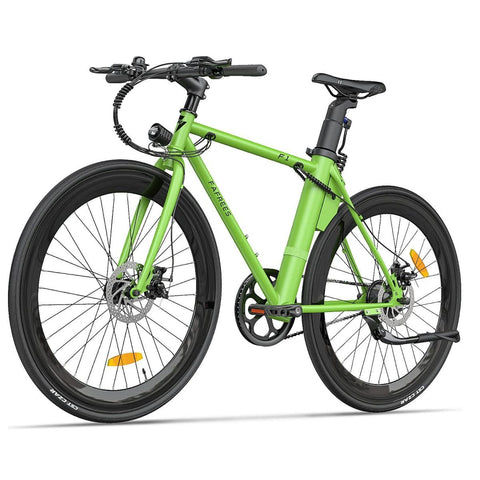 FAFREES F1 Electric Bike | 250W Motor 313.2WH Battery 40KM Range | Green