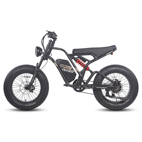 FAFREES F20 Ultra Electric Bike - 750W Motor 48V25AH Battery 140KM PAS Mode Range Mechanical Brakes Black-Red