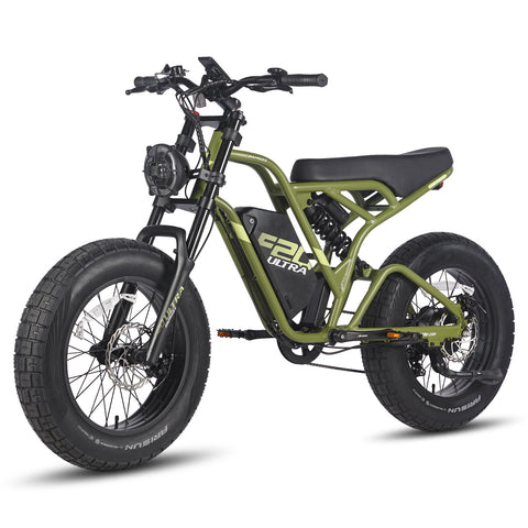 FAFREES F20 Ultra Electric Bike - 750W Motor 48V25AH Battery 140KM PAS Mode Range Mechanical Brakes Black-Green