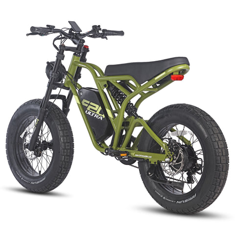 FAFREES F20 Ultra Electric Bike - 750W Motor 48V25AH Battery 140KM PAS Mode Range Mechanical Brakes Black-Green