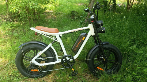 ENGWE M20 13AH Electric Bike 750W Motor, 624WH Battery, 60KM Range-White