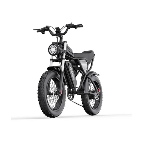 Ridstar Q20 Electric Bike - 750W Motor 48V20Ah Battery 20" Tires Hydraulic Disc Brakes - Black