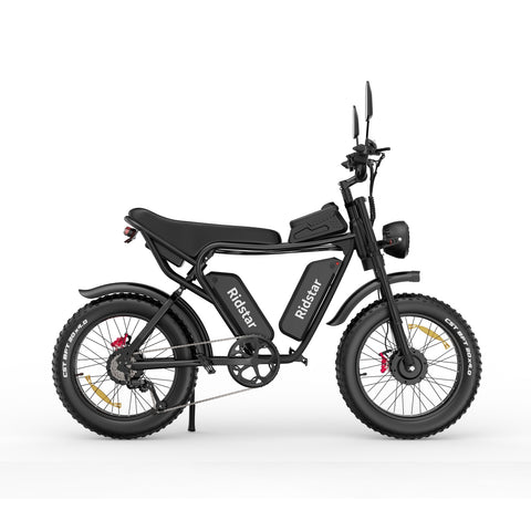 Ridstar Q20 Electric Bike - 750W*2 Dual Motors 48V20Ah*2 Dual Battery 20" Tires Hydraulic Disc Brakes - Black