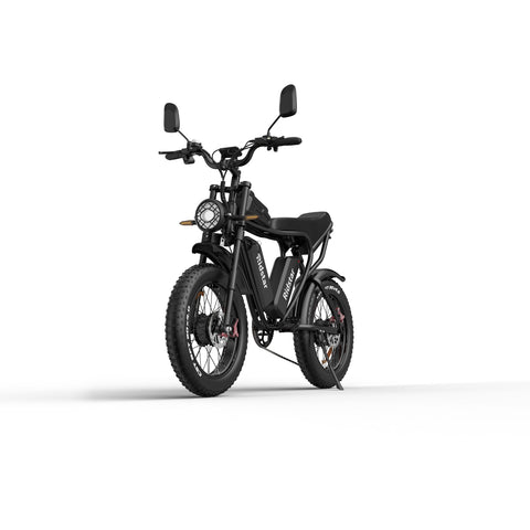 Ridstar Q20 Electric Bike - 750W*2 Dual Motors 48V20Ah*2 Dual Battery 20" Tires Hydraulic Disc Brakes - Black