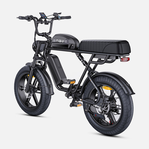 ENGWE M1 EU Electric Bike - 250W Motor 48V 28.6AH Battery 20-Inch Tires Hydraulic Disc Brakes - Black