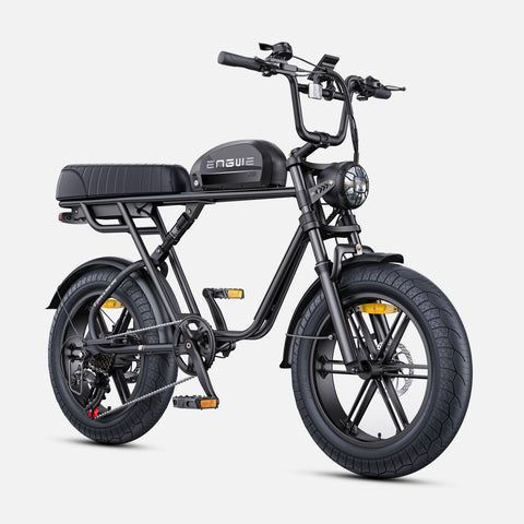 ENGWE M1 NL E-Bike - 250W Motor 48V 15.6AH Battery 20-Inch Tires Hydraulic Disc Brakes Handlebar-less Shift Knob - Black