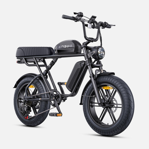 ENGWE M1 EU Electric Bike - 250W Motor 48V 28.6AH Battery 20-Inch Tires Hydraulic Disc Brakes - Black