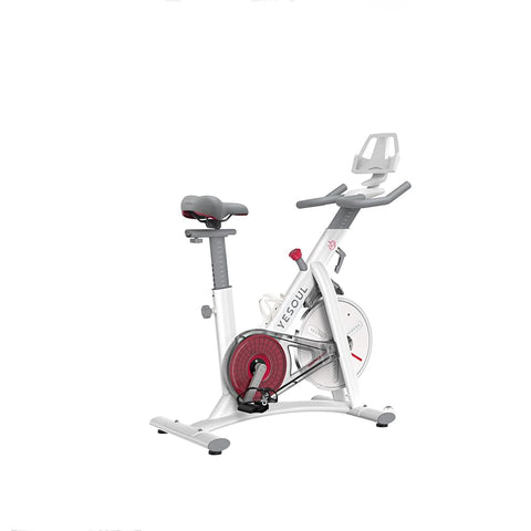 Exercise Bike YESOUL S3 White