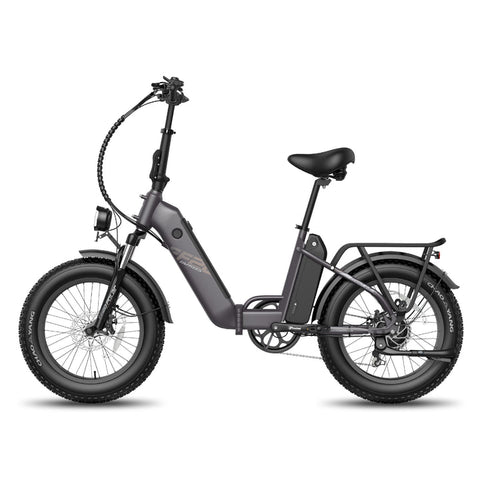 Electric Bike Fafrees FF20 Polar 500W 10.4Ah*2 Batteries Foldable Electric Bike Fat Bike Max Speed 25km/H-Black