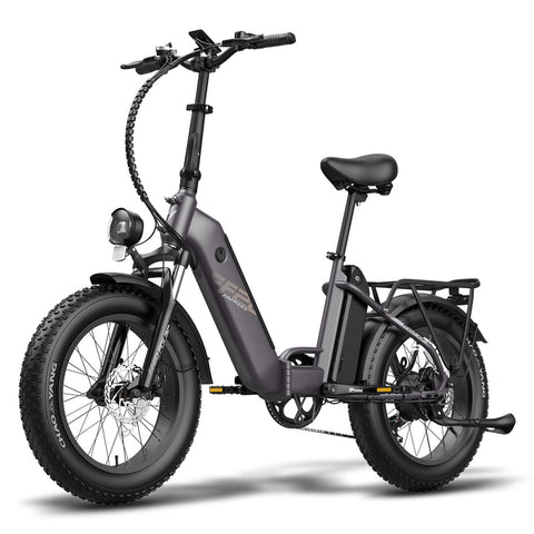 Electric Bike Fafrees FF20 Polar 500W 10.4Ah*2 Batteries Foldable Electric Bike Fat Bike Max Speed 25km/H-Black