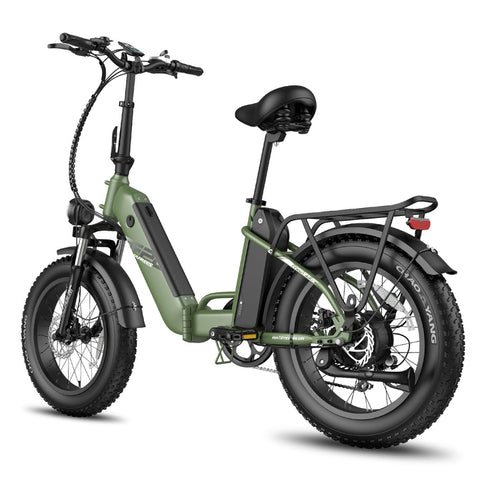 Electric Bike Fafrees FF20 Polar 500W 10.4Ah*2 Batteries Foldable Electric Bike Fat Bike Max Speed 25km/H-Green