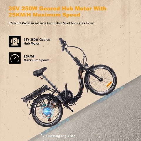 FAFREES 20F054 Folding Electric Bicycle 36V 250W Motor Top Speed 25km/h